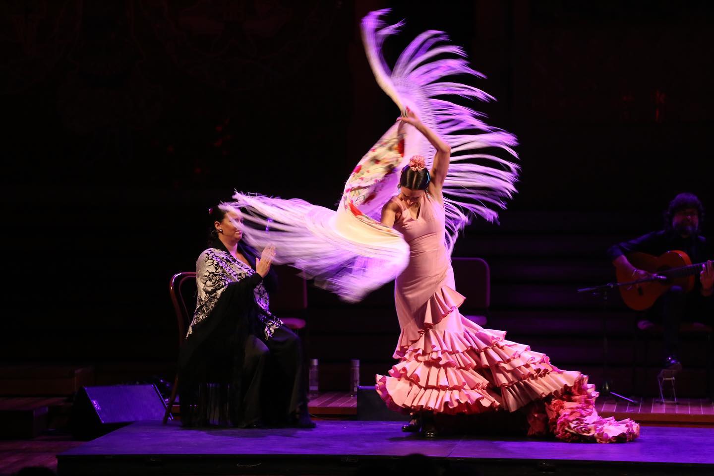 Gran Gala Flamenco 1