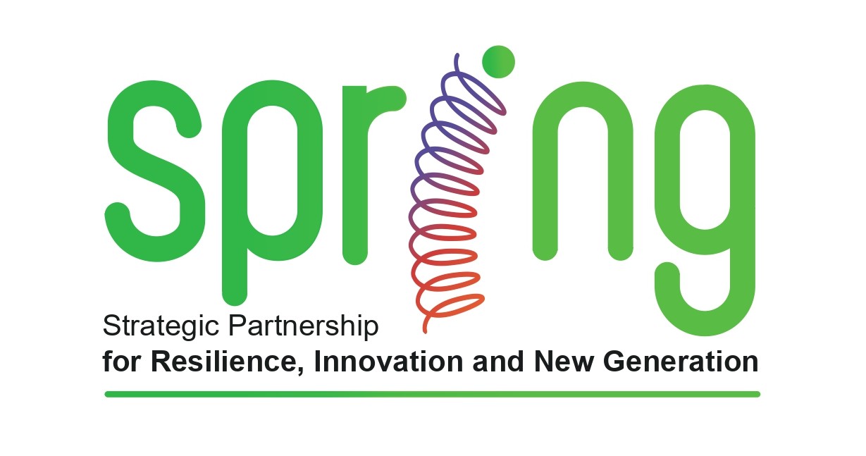 Nova energija za izvoz, inovacije i radna mjesta u BiH 1 SPRING logo