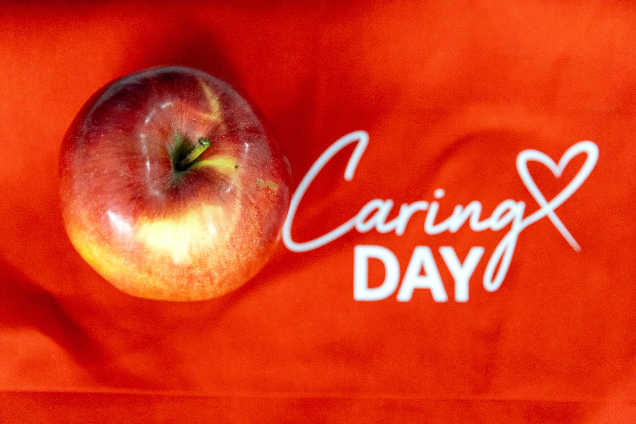 Hemofarm u globalnom Danu brižnosti 1 foto Marko Risovic Dan briznosti scaled